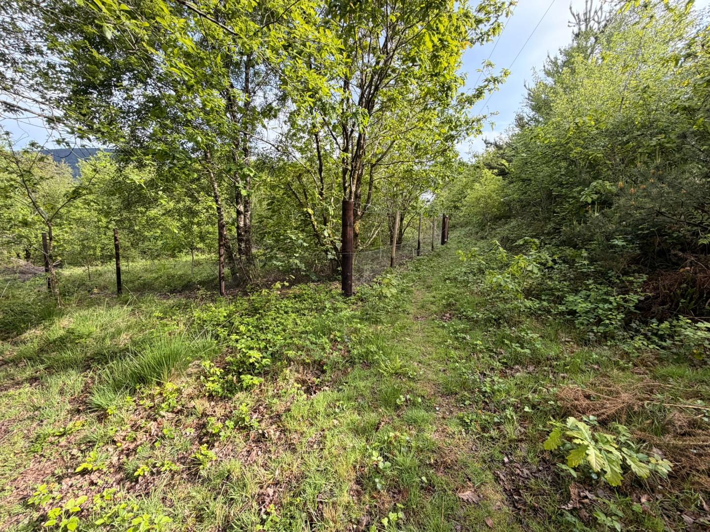 Approximately 5.706 acres adjacent to, Afan Valley Road, Cwmavon, Port Talbot SA12 9HA
